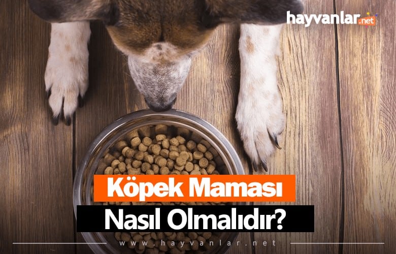 Köpek Maması