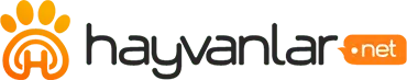 Hayvanlar.net