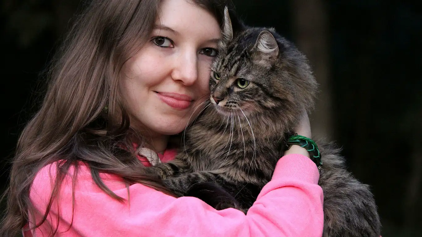 kedi-sahiplenme