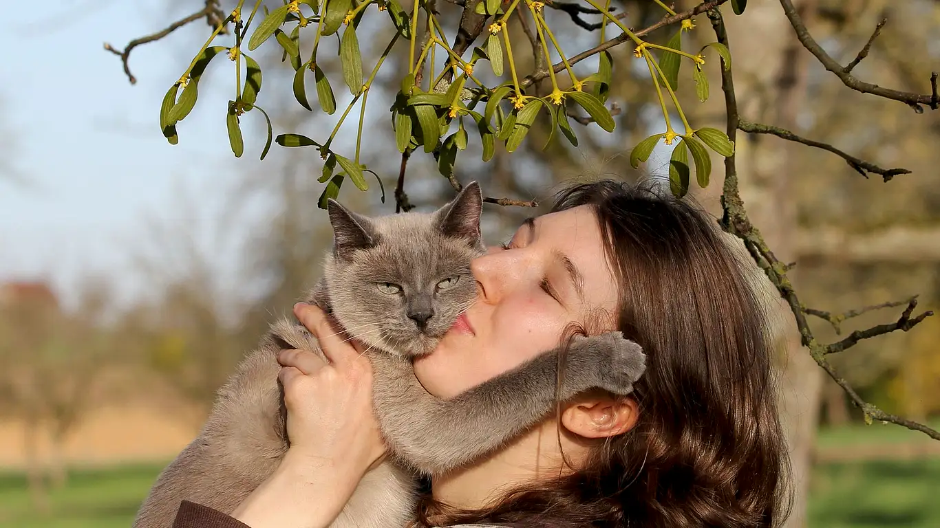 kedi-sahiplenme